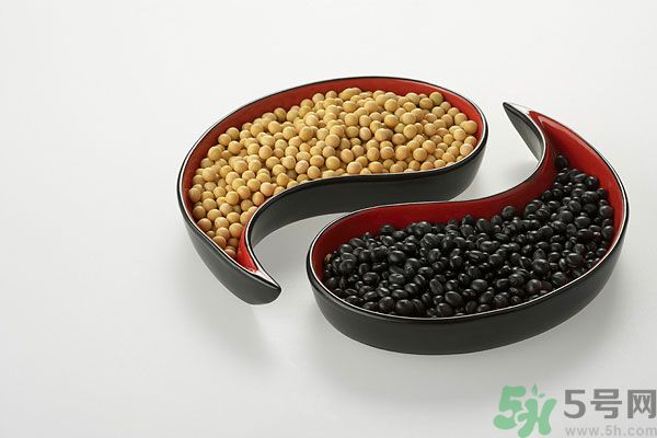 備孕期間吃什么促排卵？備孕期間吃什么好？