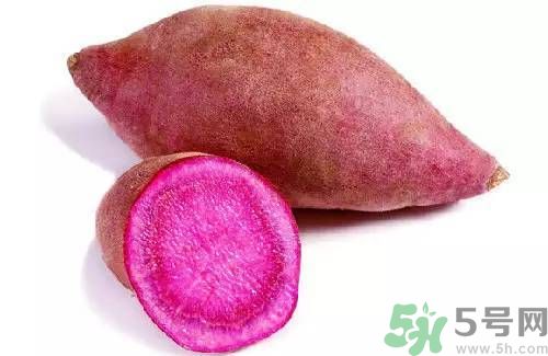 紫薯和雞蛋可以一起吃嗎?紫薯和雞蛋相克嗎 紫薯和雞蛋可以一起吃嗎?紫薯和雞蛋相克嗎
