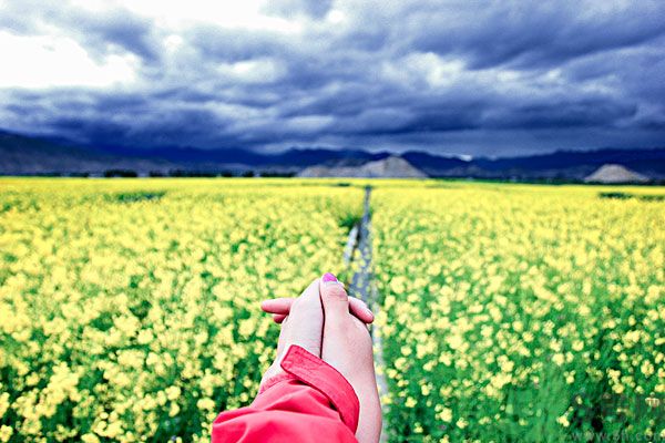 我被別人當備胎怎么辦？什么人最容易成為備胎？