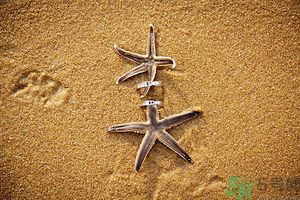 我被別人當備胎怎么辦？什么人最容易成為備胎？