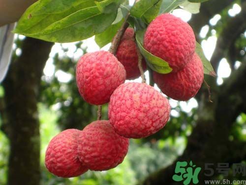 山竹可以和荔枝一起吃嗎？山竹能和荔枝同吃嗎？