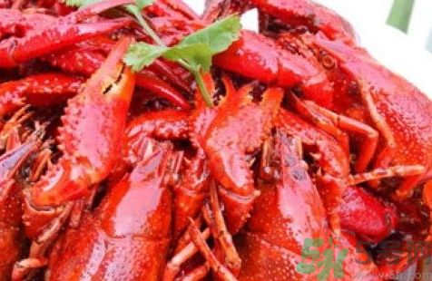 龍蝦可以和菠蘿一起吃嗎?龍蝦能和菠蘿同吃嗎? 龍蝦可以和菠蘿一起吃嗎?龍蝦能和菠蘿同吃嗎?