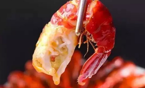 龍蝦可以和番茄一起吃嗎?龍蝦能和番茄同吃嗎? 龍蝦可以和番茄一起吃嗎?龍蝦能和番茄同吃嗎?