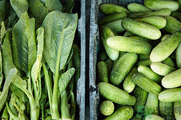 吃黃瓜對身體有什么好處？每天吃黃瓜的好處有哪些