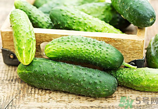 吃黃瓜對身體有什么好處？每天吃黃瓜的好處有哪些