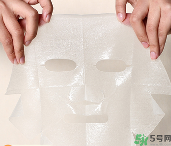 木瓜可以煮粥嗎？木瓜可以煮什么？