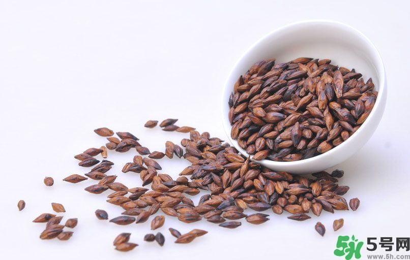 玄米茶和大麥茶的區(qū)別？玄米茶和大麥茶哪個好？