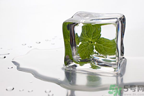 薄荷能美白嗎？薄荷的功效與作用