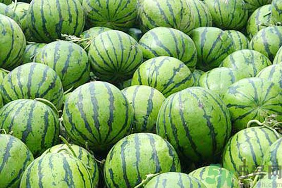 西瓜怎么挑熟的甜的？西瓜的儲存方法？