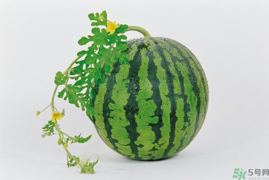 西瓜怎么挑熟的甜的？西瓜的儲(chǔ)存方法？