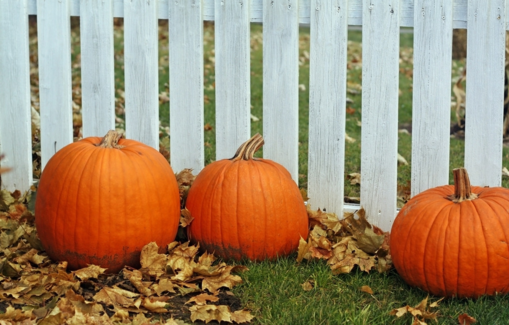 南瓜吃了會(huì)胃酸嗎？南瓜吃了胃不舒服怎么回事？