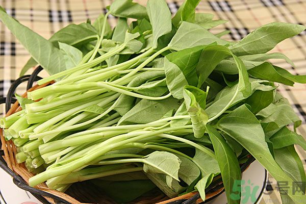 空心菜是菠菜嗎？空心菜是不是菠菜？