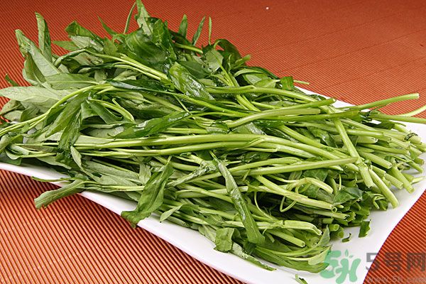 空心菜是菠菜嗎？空心菜是不是菠菜？