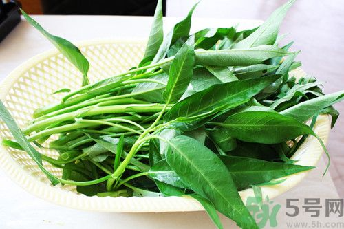 空心菜沒有炒熟能吃嗎?空心菜沒炒熟吃了會怎么樣 空心菜沒有炒熟能吃嗎?空心菜沒炒熟吃了會怎么樣