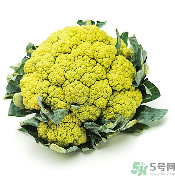 玉川和斯利安哪個(gè)好？葉酸片什么牌子最好？