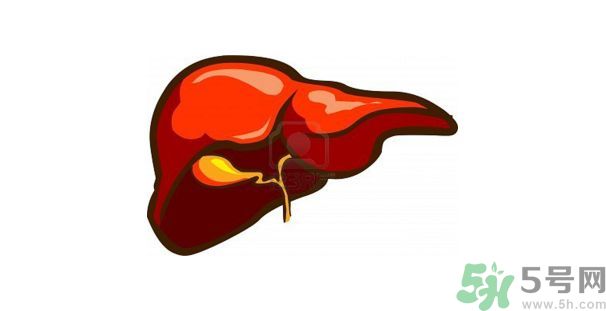 在外面吃飯會(huì)得乙肝嗎？在食堂吃飯會(huì)得乙肝嗎？