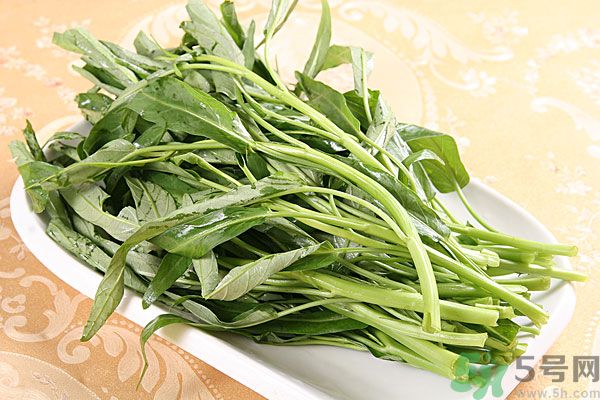 空心菜是菠菜嗎？空心菜是不是菠菜？