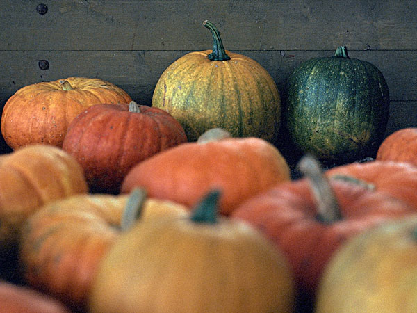 臉上長痘能吃南瓜嗎？臉上長痘吃南瓜好不好？