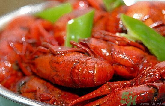 龍蝦怎么抽黑線?龍蝦怎么抽筋? 龍蝦怎么抽黑線?龍蝦怎么抽筋?