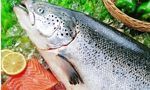 三文魚(yú)可以煮熟吃嗎?三文魚(yú)能煮熟吃嗎?