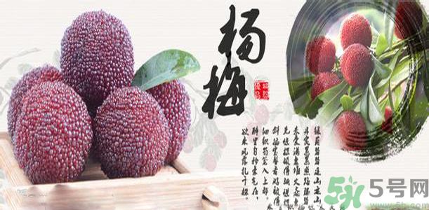 吃楊梅可以防止中暑嗎？中暑可以吃楊梅嗎？