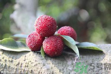 吃楊梅可以防止中暑嗎？中暑可以吃楊梅嗎？