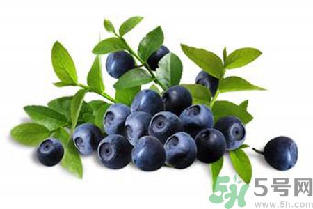 藍(lán)莓是熱性還是涼性？藍(lán)莓是涼性嗎？
