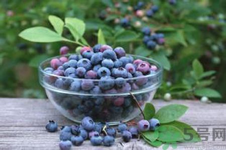藍(lán)莓是熱性還是涼性？藍(lán)莓是涼性嗎？