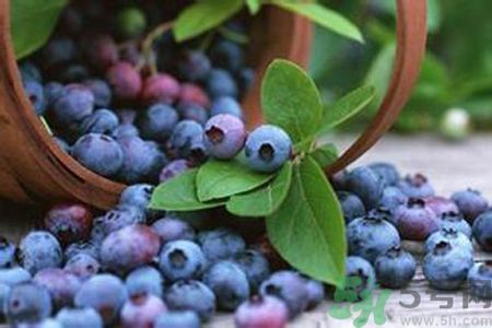 藍(lán)莓是不是發(fā)物？藍(lán)莓是發(fā)物嗎？