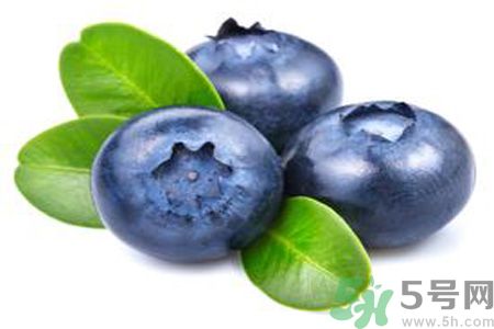 孕婦可以吃藍莓嗎？孕懷孕可以吃藍莓嗎？