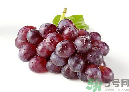 孕婦早期可以吃提子嗎?孕婦吃提子對胎兒有什么好處 孕婦早期可以吃提子嗎?孕婦吃提子對胎兒有什么好處