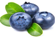 什么是藍(lán)莓李果？藍(lán)莓李果和藍(lán)莓的區(qū)別？