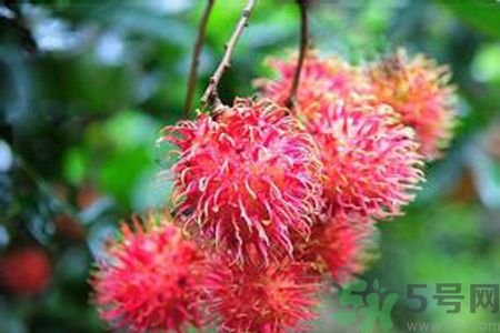 寶寶可以吃紅毛丹嗎？寶寶多大了可以吃紅毛丹？