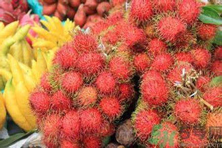 寶寶可以吃紅毛丹嗎？寶寶多大了可以吃紅毛丹？