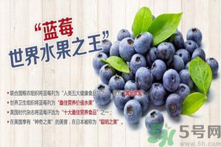 衣服上面染上了藍(lán)莓汁怎么辦？藍(lán)莓漬怎么清洗？