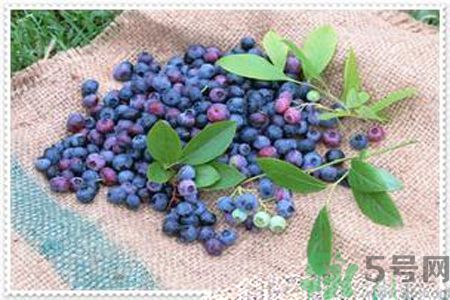 藍(lán)莓果醬怎么做好吃？藍(lán)莓果醬的做法