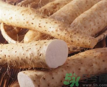 山藥和什么不能一起吃?山藥和什么相克