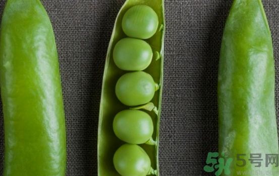 扁豆可以和絲瓜一起吃嗎?扁豆能和絲瓜同吃嗎? 扁豆可以和絲瓜一起吃嗎?扁豆能和絲瓜同吃嗎?