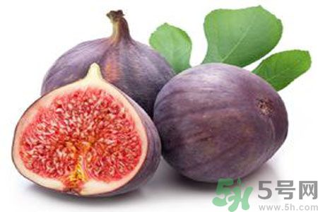 孕婦可以吃無花果嗎？懷孕可以吃無花果嗎？