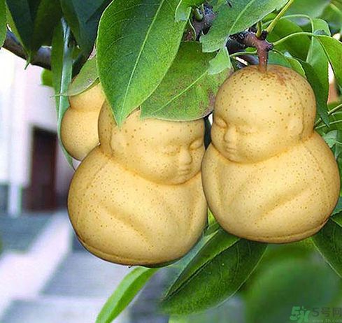 哺乳期可以吃人參果嗎？哺乳期吃人參果好嗎？