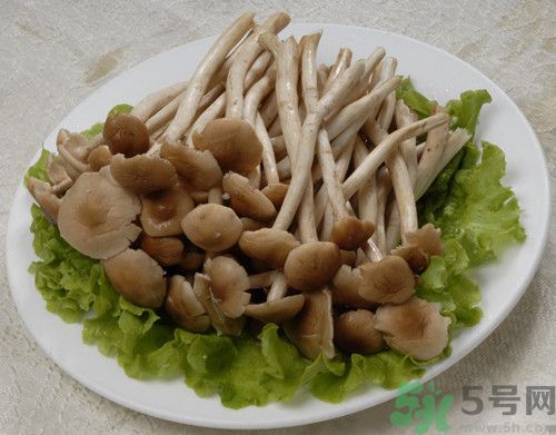 茶樹(shù)菇可以生吃嗎?茶樹(shù)菇生吃會(huì)怎么樣 茶樹(shù)菇可以生吃嗎?茶樹(shù)菇生吃會(huì)怎么樣