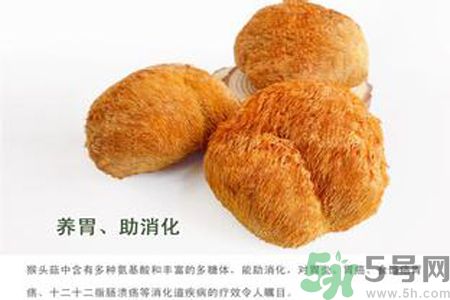 猴頭菇是酸性還是堿性？猴頭菇是堿性嗎？