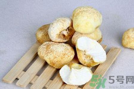  哺乳期可以吃猴頭菇嗎？產(chǎn)婦可以吃猴頭菇嗎？