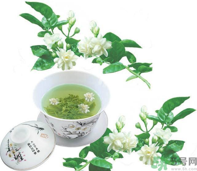 喝茉莉花茶會(huì)過敏嗎？喝茉莉花茶過敏了怎么辦？