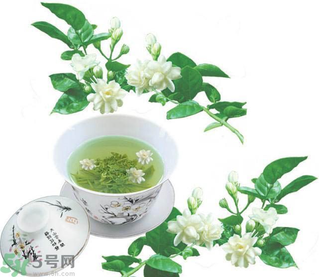 茉莉花茶可以減肥嗎？怎樣喝茉莉花茶可以減肥？