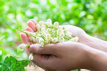 痛風(fēng)可以喝茉莉花茶嗎？痛風(fēng)喝茉莉花茶好嗎？