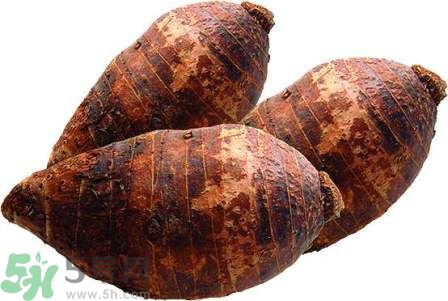 芋頭沒煮熟能吃嗎?芋頭沒煮熟吃了會(huì)怎樣 芋頭沒煮熟能吃嗎?芋頭沒煮熟吃了會(huì)怎樣