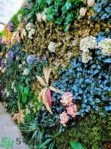 寵愛之名寵愛女孩面膜怎么樣？寵愛女孩礦物云絲面膜好用嗎？