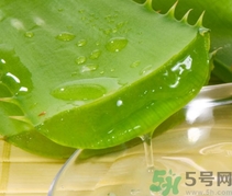 如何在家自制補水面膜？自制的面膜好用嗎？