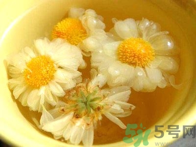 女生可以喝什么茶排毒養(yǎng)顏？女生喝什么茶可以美容？